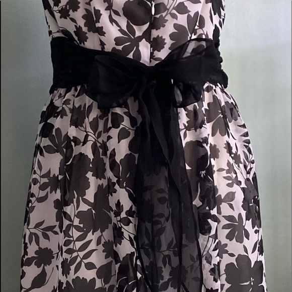 Beautiful Dress Barn Lined Black and White Frock - Picture 9 of 11